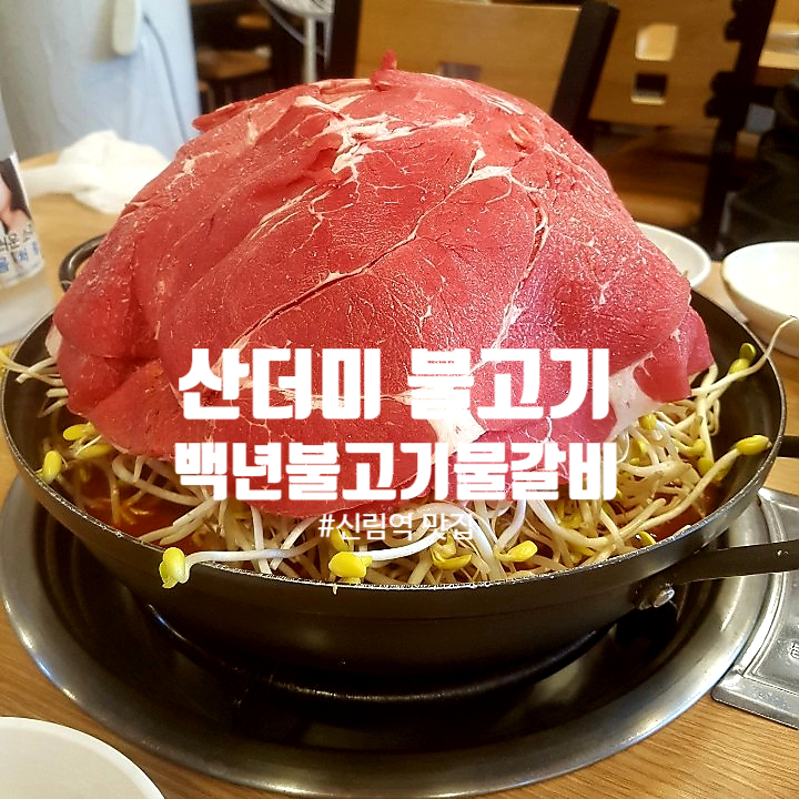  신림역 KBS 생생정보 출연 맛집 백년물갈비에서 만난 산더미물갈비