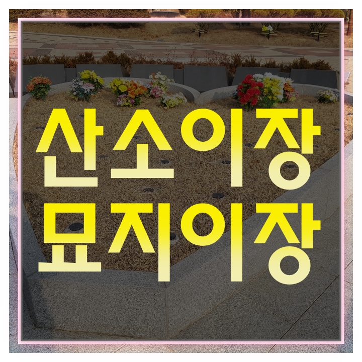  산소이장(평택,안성 산소이장 사례) 지금부터 준비하세요.