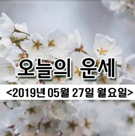  오늘의 운세! 오늘의 띠별운세![2019년 5월 27일]