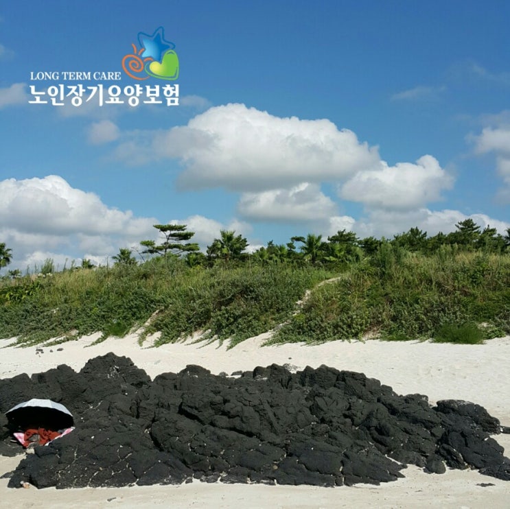  노인복지용구 의료용 전동침대 가정용 대여제품 안내