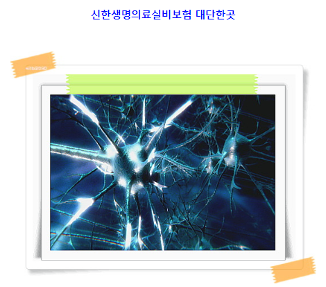  신한생명의료실비보험 견적내기