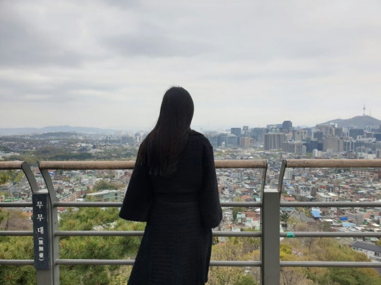  보고 싶은 대로