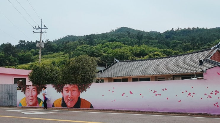  천사대교 : 목포에서 섬과 섬을 잇는 힐링 당일 여행