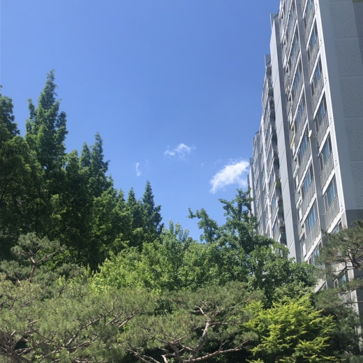  5월 셋째주