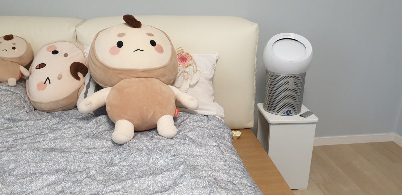다이슨 퓨어쿨 미™ 공기청정기 수면타이머로 꿀잠 사용후기