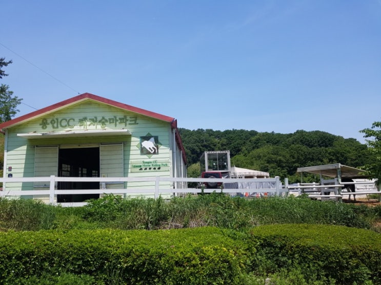  용인cc레저승마클럽 중학생 자원봉사