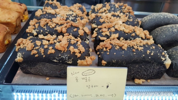  강릉 빵지순례 강릉 빵집 돌체테리아 메뉴, 가격, 택배, 후기