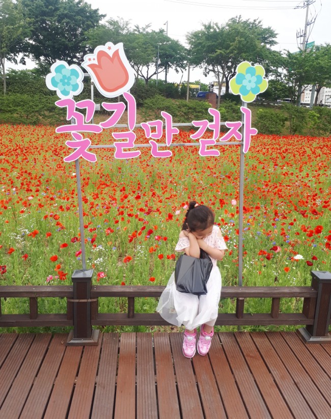  리베쥬일상) 장성 옛서당캠핑농원 2박 3일 가족캠핑 end 장성 꽃 축제 들렀어요!