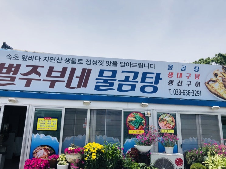  속초 맛집 , 이영자도 반한 별주부네물곰탕 :)