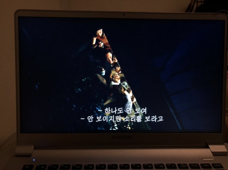  어느 가족[万引き家族]