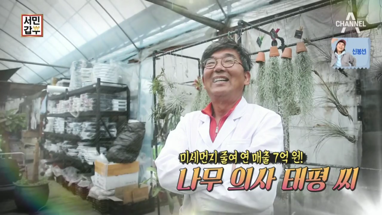 서민갑부 수직정원 식물병원초록에서 미세먼지 잡아주는 나무의사 이야기!