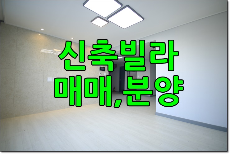  대전 빌라분양 / 신축 포룸