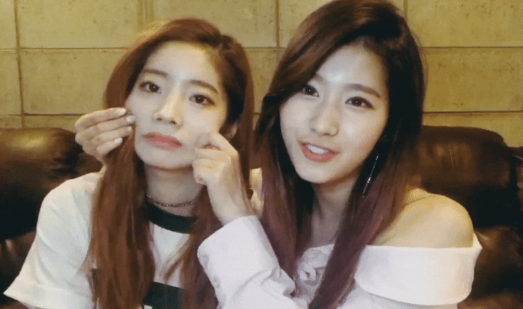  트와이스팬픽//회차//사나×다현)) 사고뭉치 5회