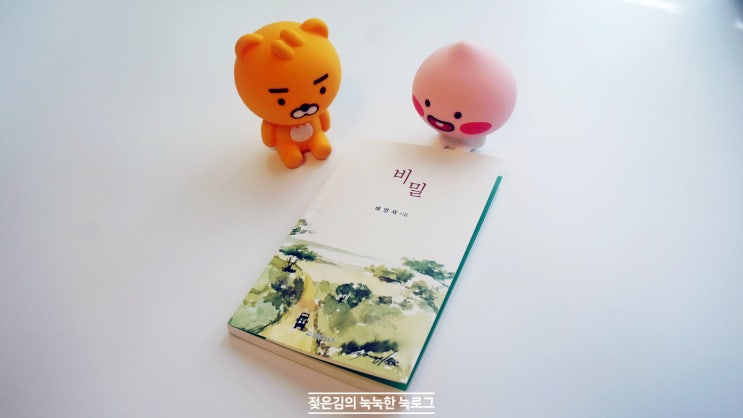드로잉시집 , 배영재 시인의 비밀 드로잉시집 , 배영재 시인의 비밀