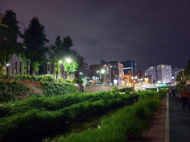 성신여대 충만치킨 @ 성북천 산책 좋구낭