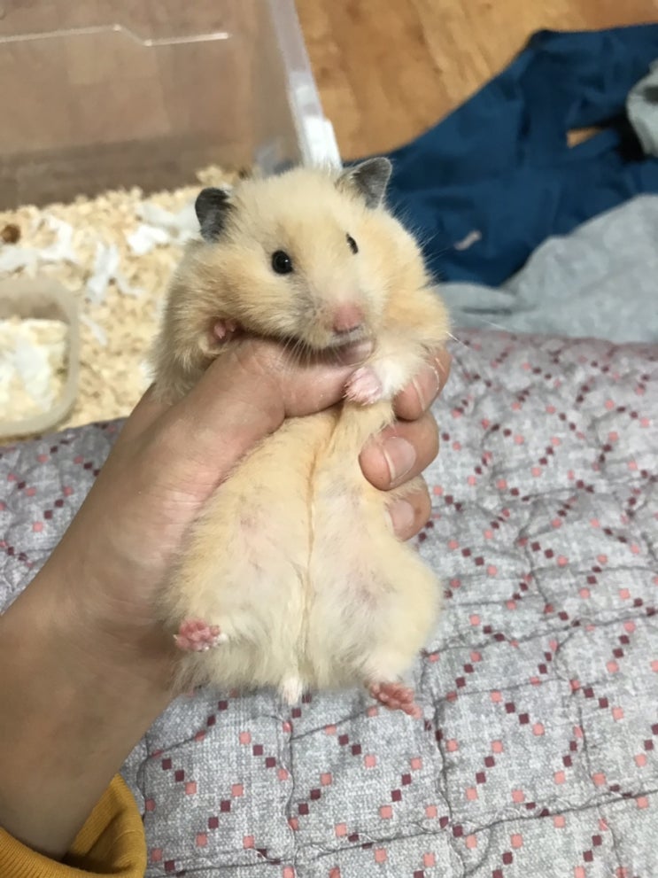  저번주이번주