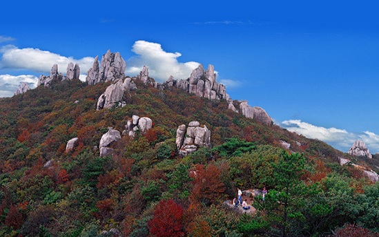  장흥 천관산 등산코스,(장천재~금강굴~환희대~구룡봉~정상(연대봉)~봉황봉~장천재)