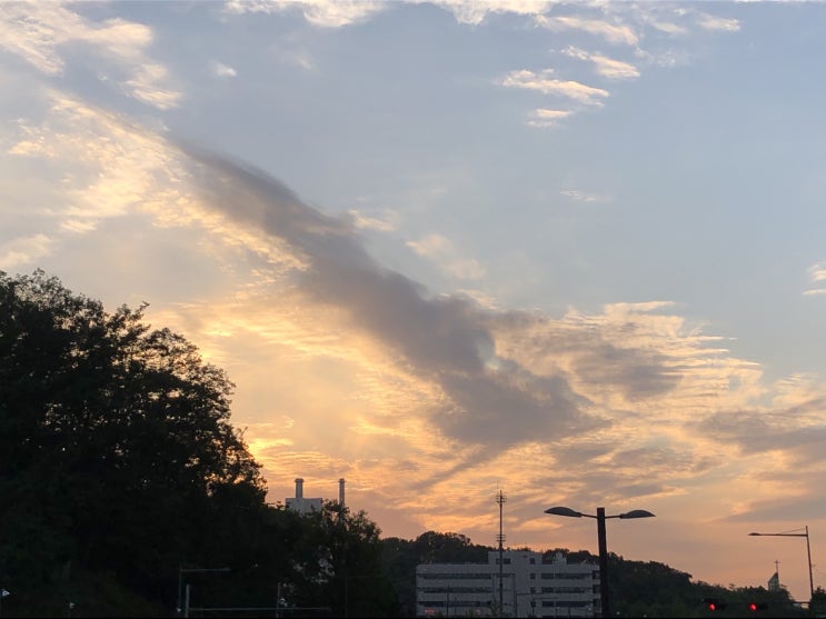  2019년 5월 26일