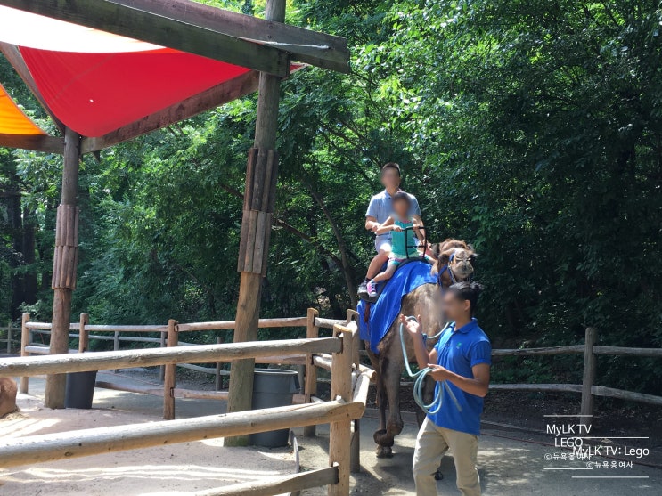  아이와 함께 뉴욕여행, 뉴욕근교여행: 브롱스 동물원 bronx zoo, 필라델피아 어린이 박물관 please touch museum