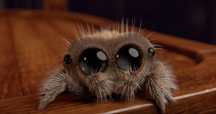 거대한 거미가 주연인 영화들 2 (혐오 주의)