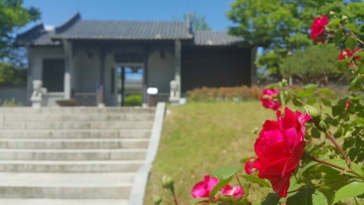  중국 전통 정원...효원공원 월화원 /수원여행