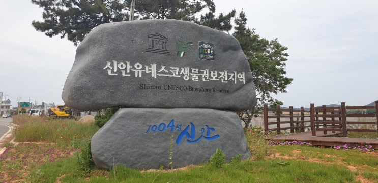  전남 신안 천사섬   1004