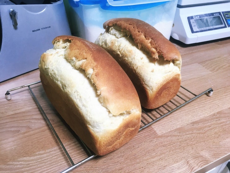 우유식빵 만들기 저온발효식빵 (터키산 유기농 강력분)