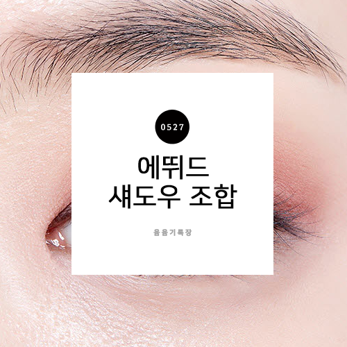  에뛰드 섀도우 조합 웜톤 데일리 세일맞이 추천