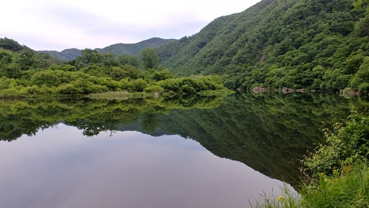  우리산하 아름다운 옛길 ㅡ감동벼룻길