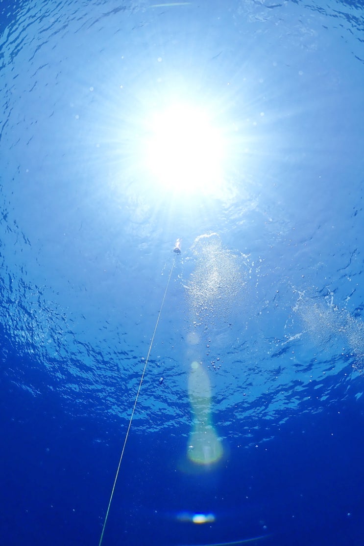  PADI 어드밴스드 다이버 DAY 2!