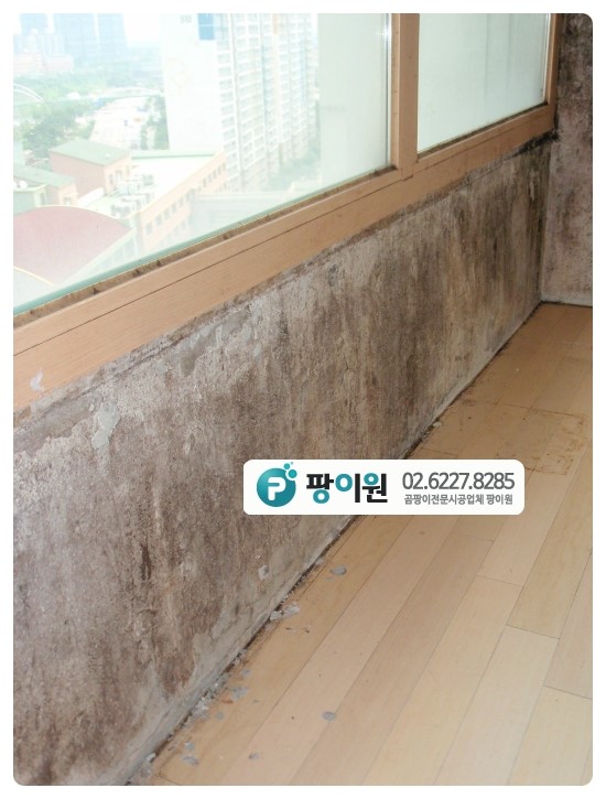 장마철 곰팡이제거 방법은?