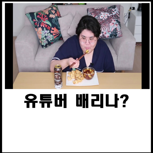  유튜버 배리나?
