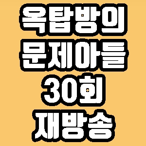 옥탑방의 문제아들 다비치 30회 재방송 다시보기 방송시간 편성표