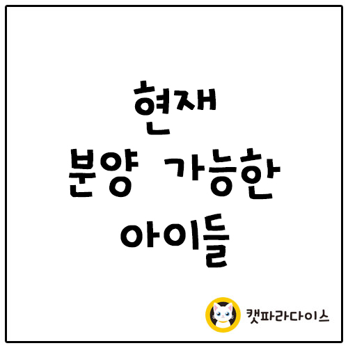  현재 분양가능한 아이들 가정의날 할인 이벤트와 함께하세요~