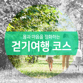  몸과 마음을 정화하는 대한민국의 걷기여행 코스 알려드려요