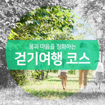 몸과 마음을 정화하는 대한민국의 걷기여행 코스 알려드려요