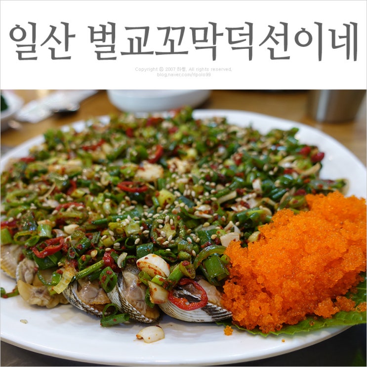  일산 백석역 맛집 벌교꼬막덕선이네 - 알이 통통한 벌교 꼬막과 꼬막볶음밥까지 꼬막효능 알고즐기자