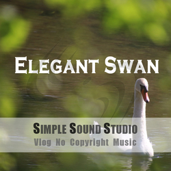 [무료 유튜브 BGM] 감성적인 차분한 우아한 배경음악 - Elegant Swan