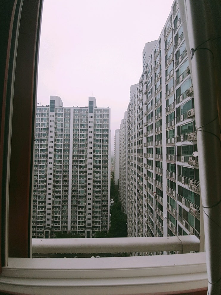  비오는날 창밖에 세상