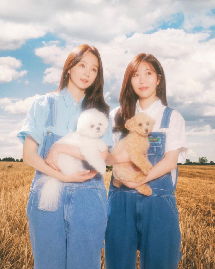  연예인들이 키우는 강아지 알아보기!