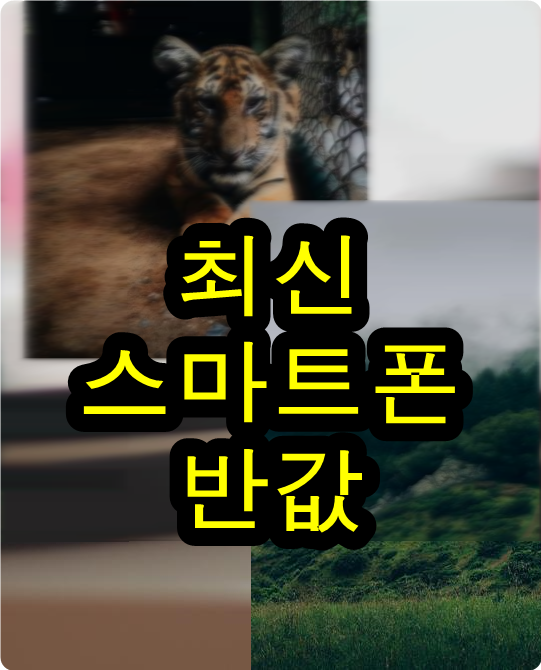  스마트폰가격 대히트예감