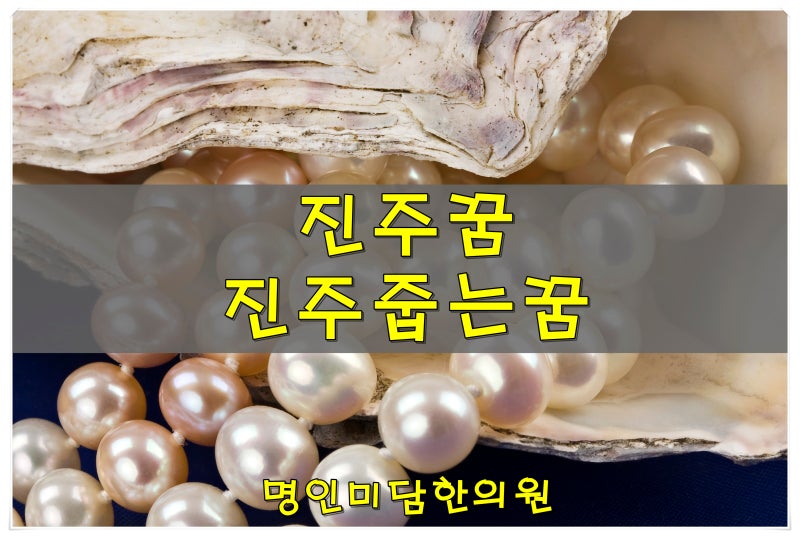 진주꿈 진주줍는꿈