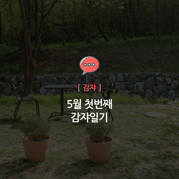  5월 첫째주 감쟈일기