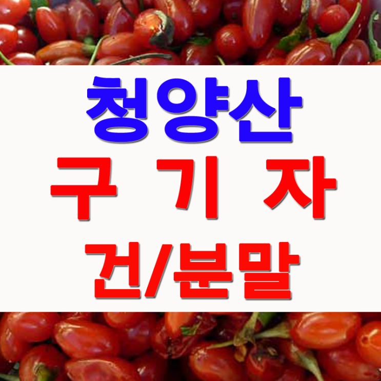  청양 구기자 효능과 건 구기자 먹는법 (구기자가루)