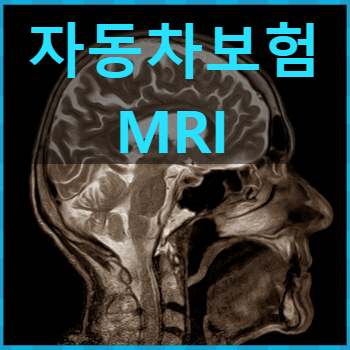  신부동 교통사고 한의원 : MRI 이야기 14