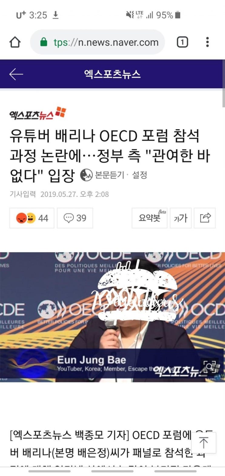  유튜버 배리나 OECD 포럼 참석 과정 논란에…정부 측 "관여한 바 없다" 입장