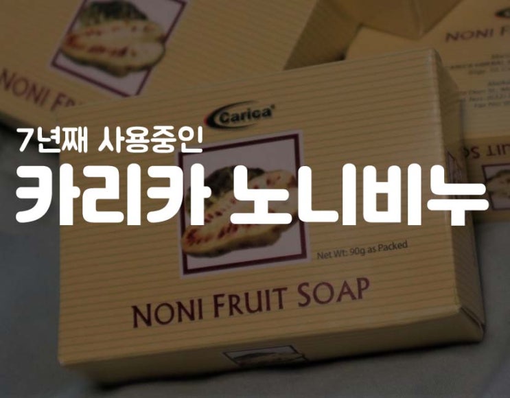  필리핀 여행 필수 기념품 "카리카 노니비누"