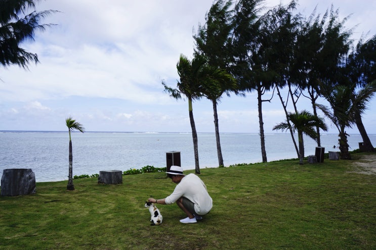 오래된 날의 기록, Saipan Island 06 :: 사이판 관광명소(만세절벽/자살절벽/새섬)
