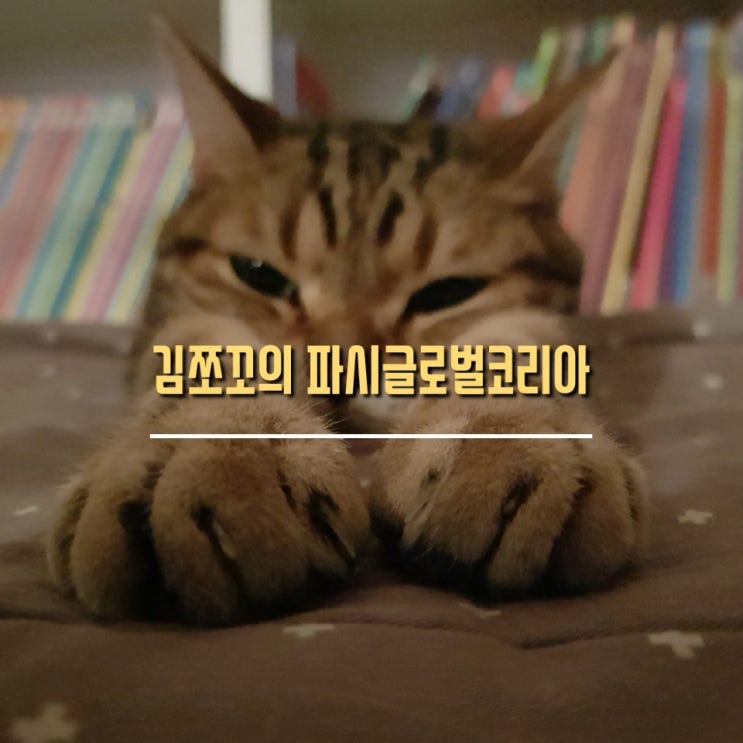  커큐민 실컷 먹어봤자 체내흡수 안된다??? 해답은 수용화기술!!