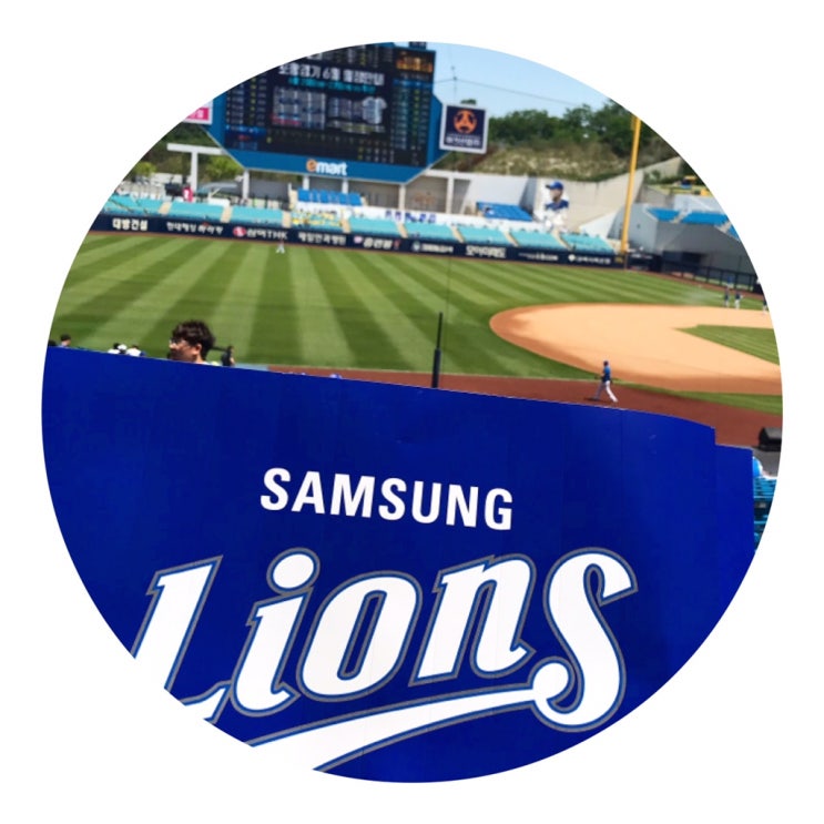  라이온즈파크 블루존 3-5구역 24열